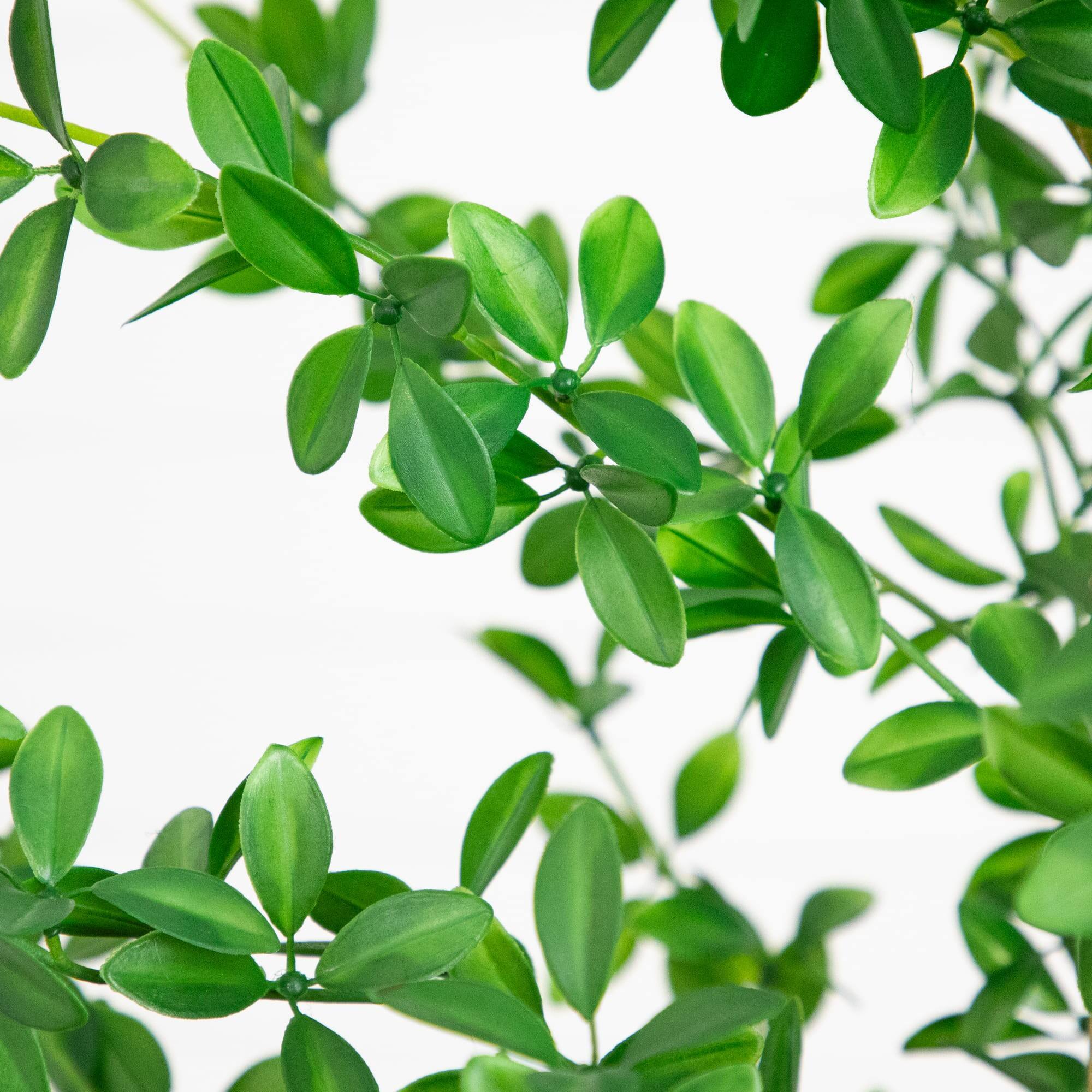 6ft. Artificial Shady Lady Black Olive Tree